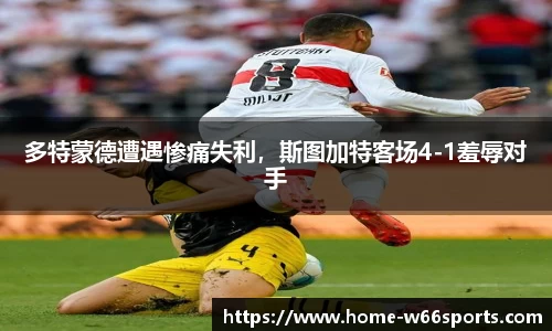 w66利来国际