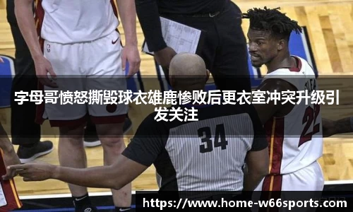 w66利来体育
